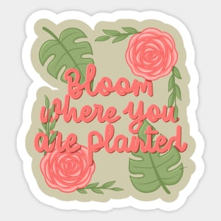 Bloom where youplanted Sticker